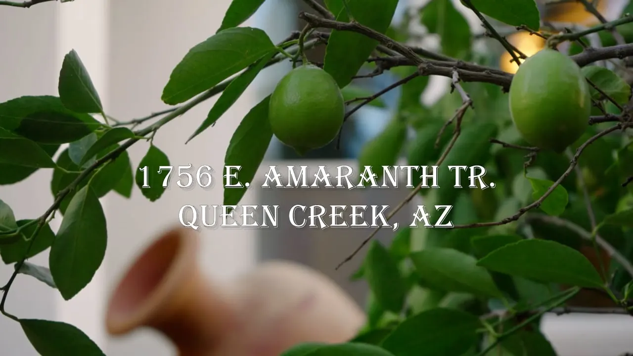 1756 E Amaranth Tr Queen Creek, AZ